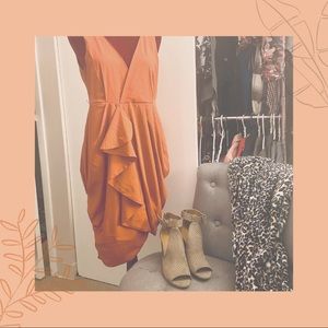 H&M Dark Coral Sheath